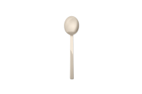 10 - Serving spoon Stile Champagne