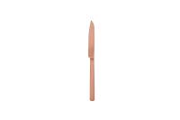 36 - Steak knife Stile Bronzo Ice